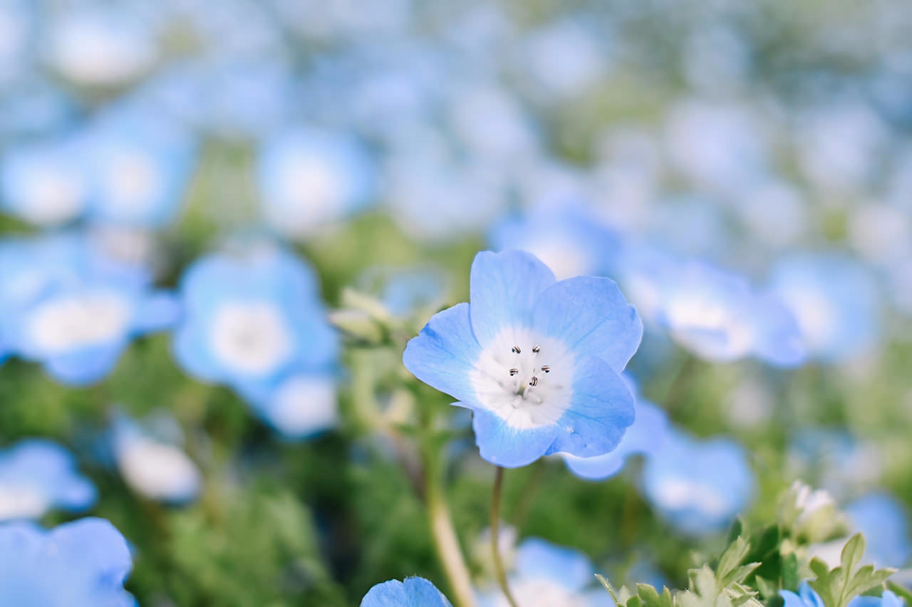 尼康尼克尔 Z 28mm f／2.8 (SE)官方实拍样张欣赏  第8张