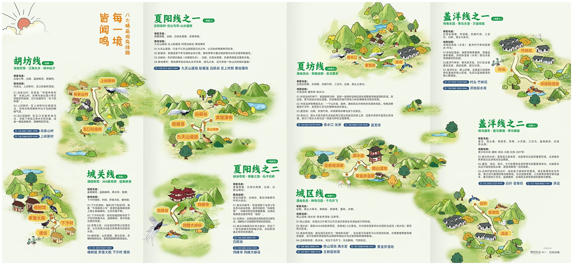 促进观鸟繁荣，描绘美好未来——首届福建明溪全国观鸟挑战赛成功举办 ...  第12张