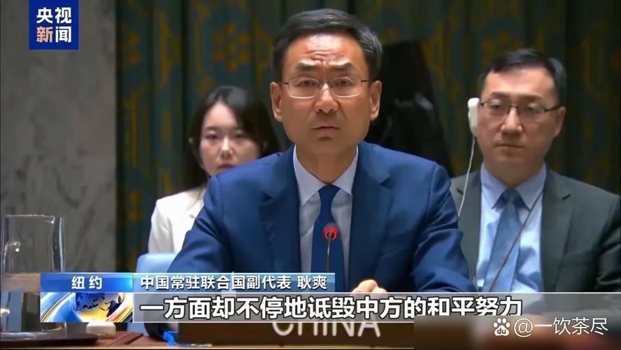 国际社会对耿爽发言有何反应？  第1张